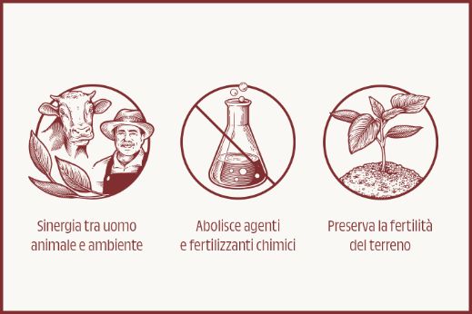 rachelli-home-biodinamicologhiV2-ita.jpg